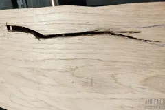 bass-talharpa-eichenholz-08