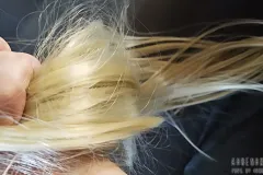 bayrisch-mongolische-talharpa-15