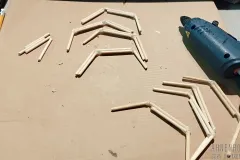 grossmutter-spinne-01