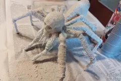 grossmutter-spinne-07